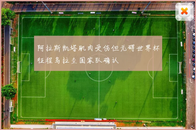 阿拉斯凯塔肌肉受伤但无碍世界杯征程乌拉圭国家队确认