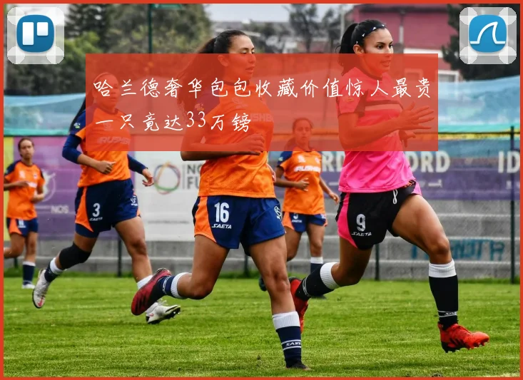 哈兰德奢华包包收藏价值惊人最贵一只竟达33万镑