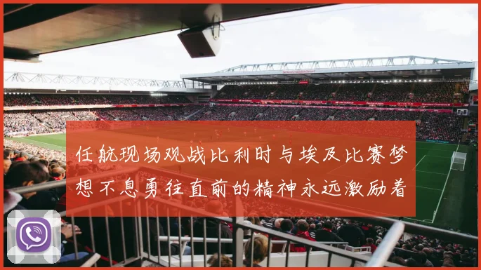 任航现场观战比利时与埃及比赛梦想不息勇往直前的精神永远激励着我们